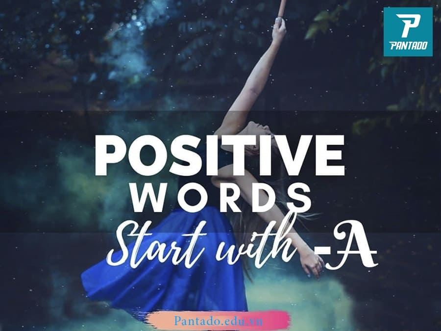 Từ khẳng định bắt đầu từ chữ a